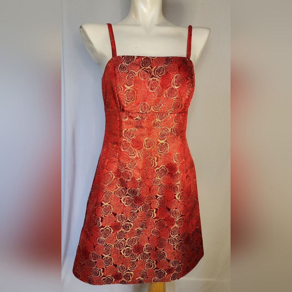 Sweet Chemise Y2K Rose Brocade Dress Size Large